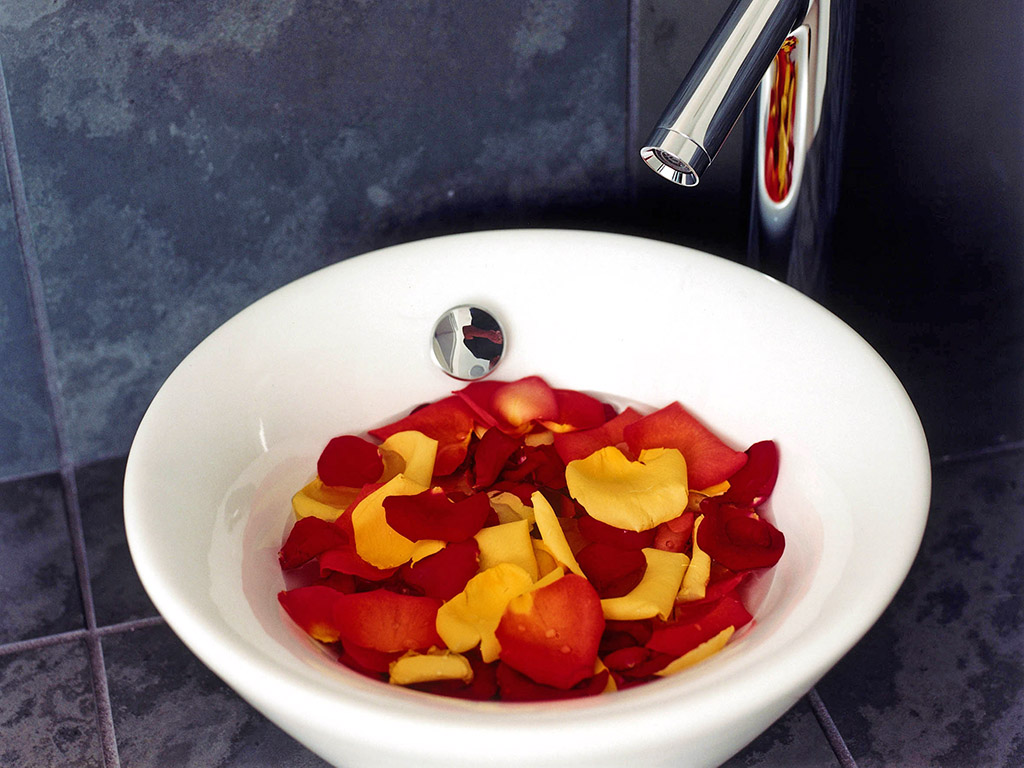 Rosenwasser | Ayurveda Parkschlösschen Health Blog