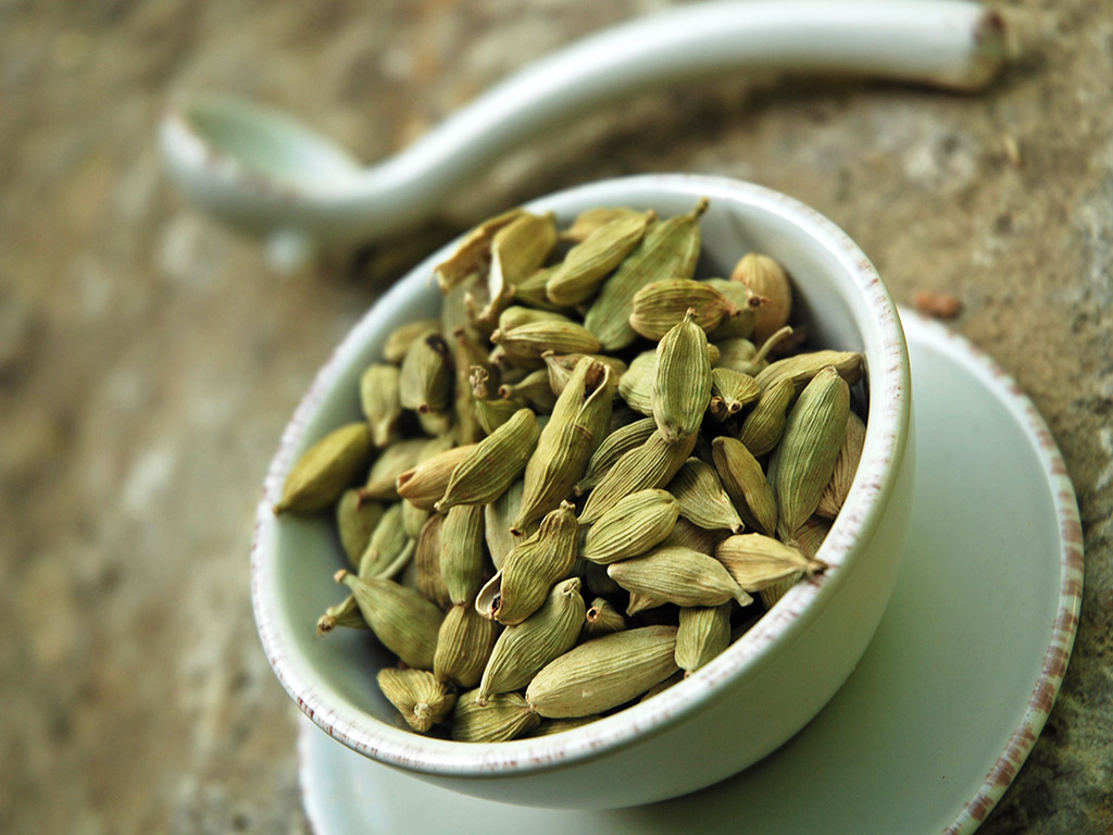 Ayurveda Lexikon: Kardamom | Ayurveda Parkschlösschen Health Blog