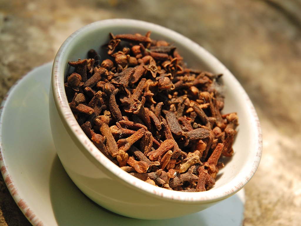 Ayurveda Lexikon: Nelken | Ayurveda Parkschlösschen Health Blog