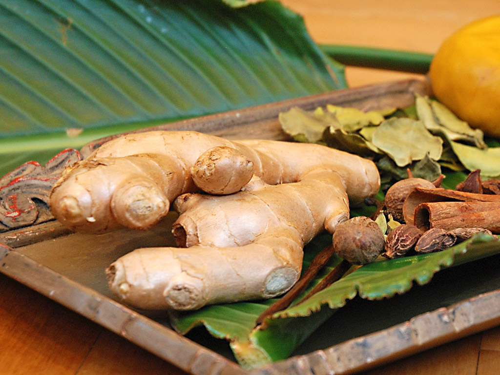 Ingwer-Honig-Paste bei Husten | Ayurveda Parkschlösschen Health Blog