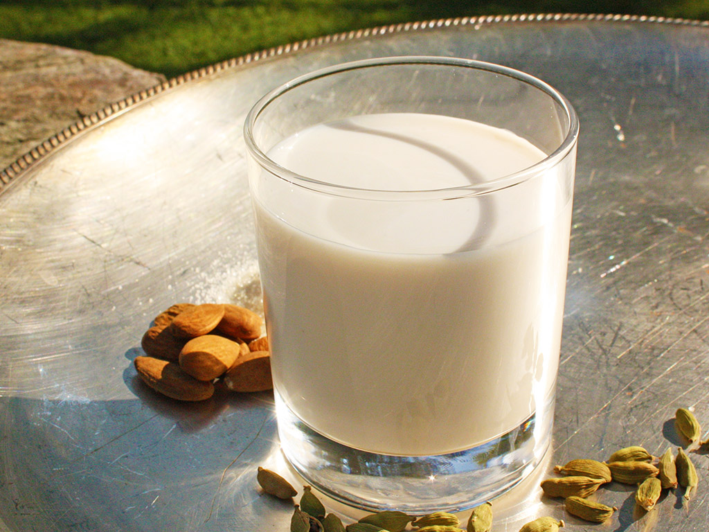 Ojas-Booster Mandelmilch | Ayurveda Parkschlösschen Health Blog