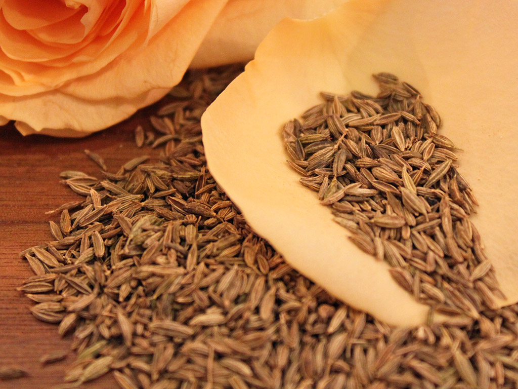Ayurveda Lexikon: Kreuzkümmel / Cumin | Ayurveda Parkschlösschen Health Blog