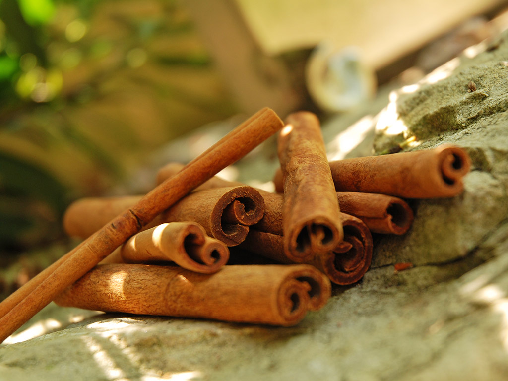 Ayurveda Lexikon: Zimt | Ayurveda Parkschlösschen Health Blog