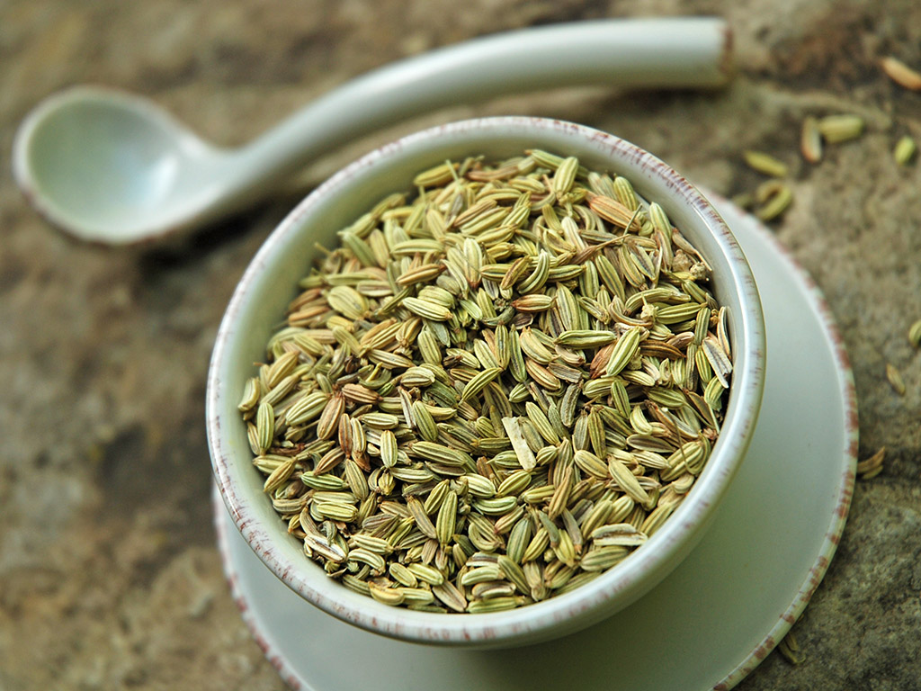 Ayurveda Lexikon: Fenchel | Ayurveda Parkschlösschen Health Blog