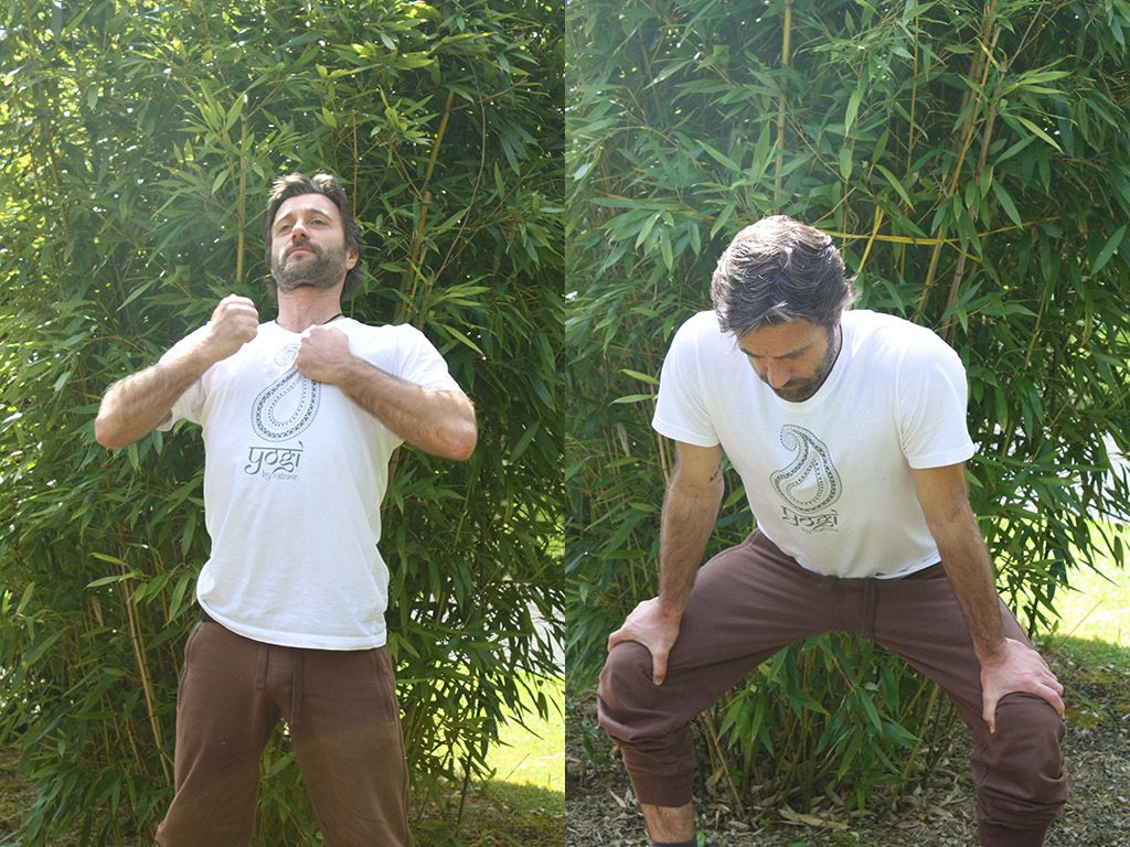 Gorilla-Atmung | Pranayama | Ayurveda Parkschlösschen Health Blog