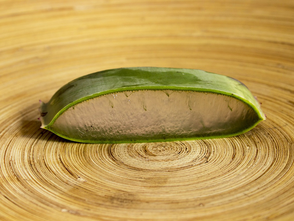 Ayurveda Lexikon: Aloe Vera | Ayurveda Parkschlösschen Health Blog