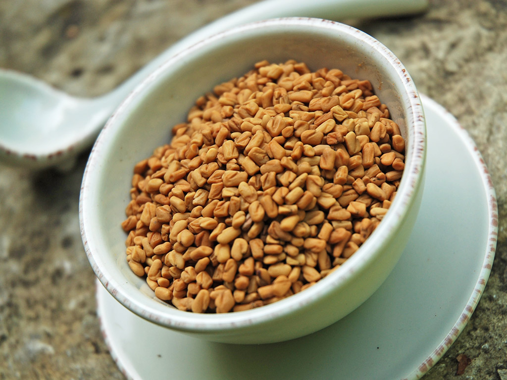 Ayurveda Lexikon: Bockshornklee | Ayurveda Parkschlösschen Health Blog