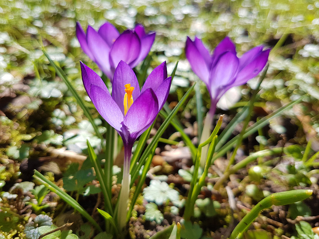 Yoga Fingerübung Frühling | Ayurveda Parkschlösschen Health Blog