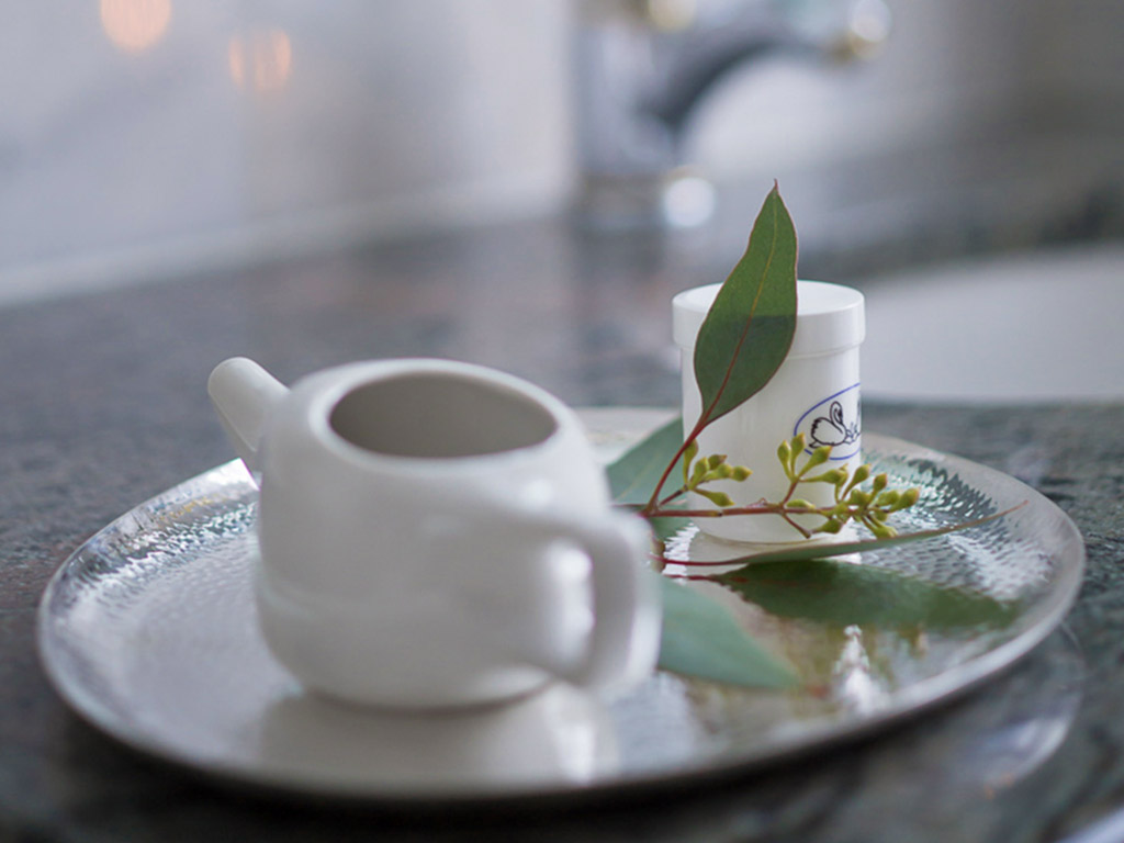 Jala Neti | Nasenspülung | Ayurveda Parkschlösschen Health Blog