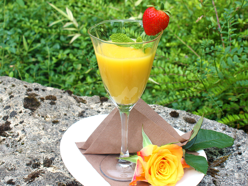 Ayurveda Rezepte: Leckere Cocktails für den Sommer | Ayurveda Parkschlösschen Health Blog