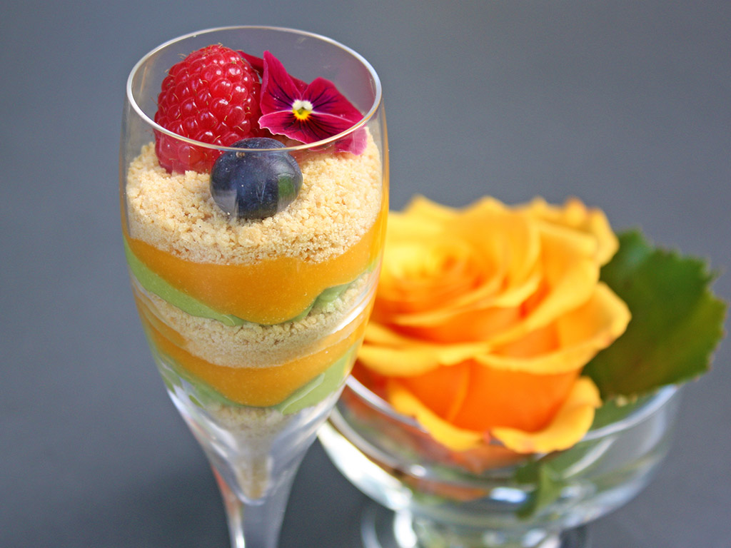 Ayurveda Rezepte mit Mango und Avocado | Ayurveda Parkschlösschen Health Blog