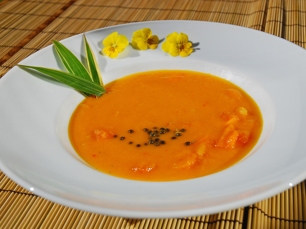 Ayurveda Rezept: Möhren-Ingwer-Suppe | Ayurveda Parkschlösschen Health Blog