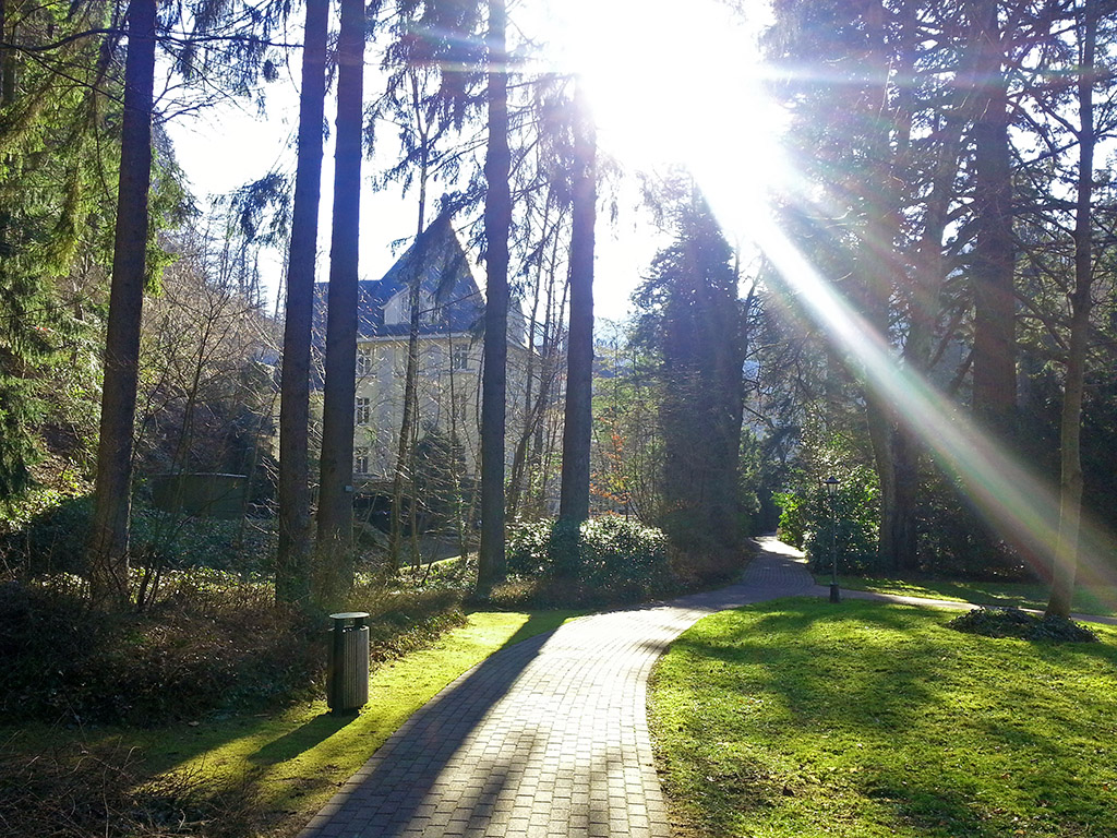 Fasten im Frühjahr | Ayurveda Parkschlösschen Health Blog