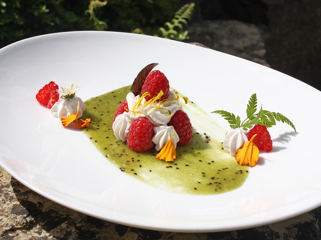 Ayurveda Rezept: Leichtes Dessert mit Himbeeren und Kiwi | Ayurveda Parkschlösschen Health Blog