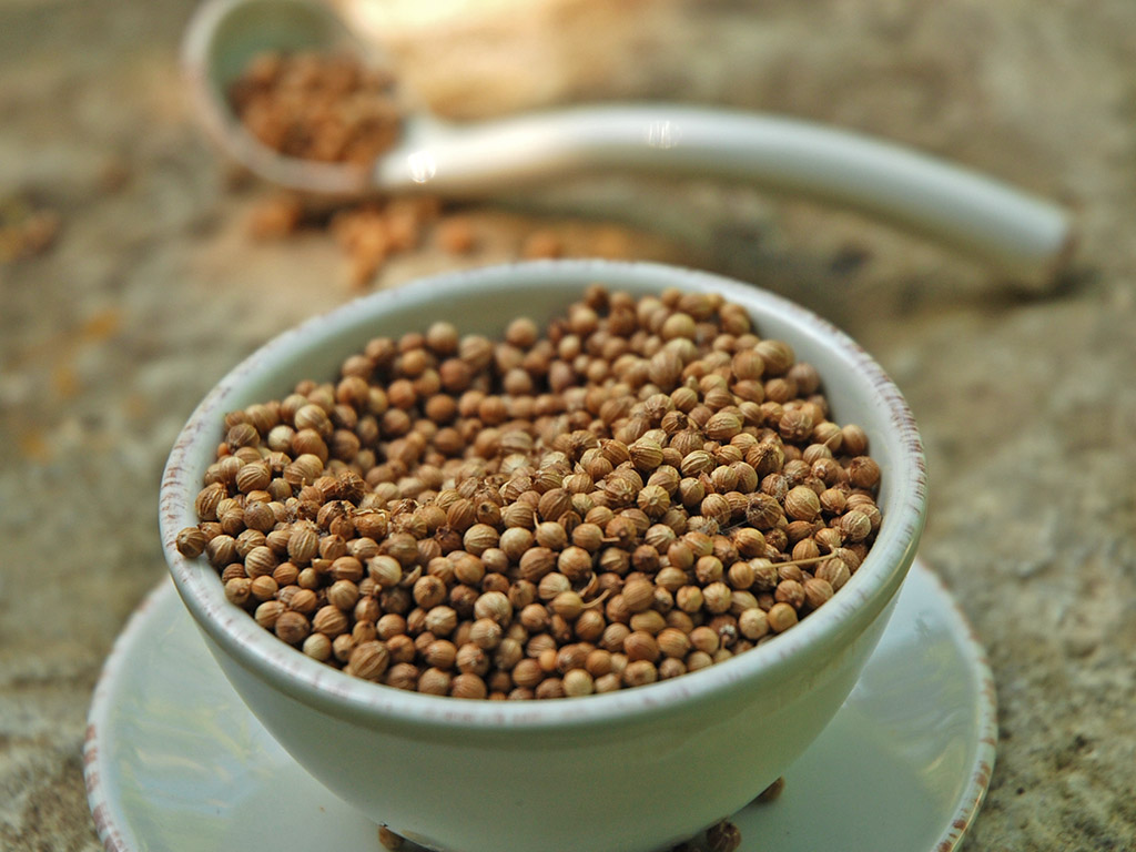 Ayurveda Lexikon: Koriander | Ayurveda Parkschlösschen Health Blog