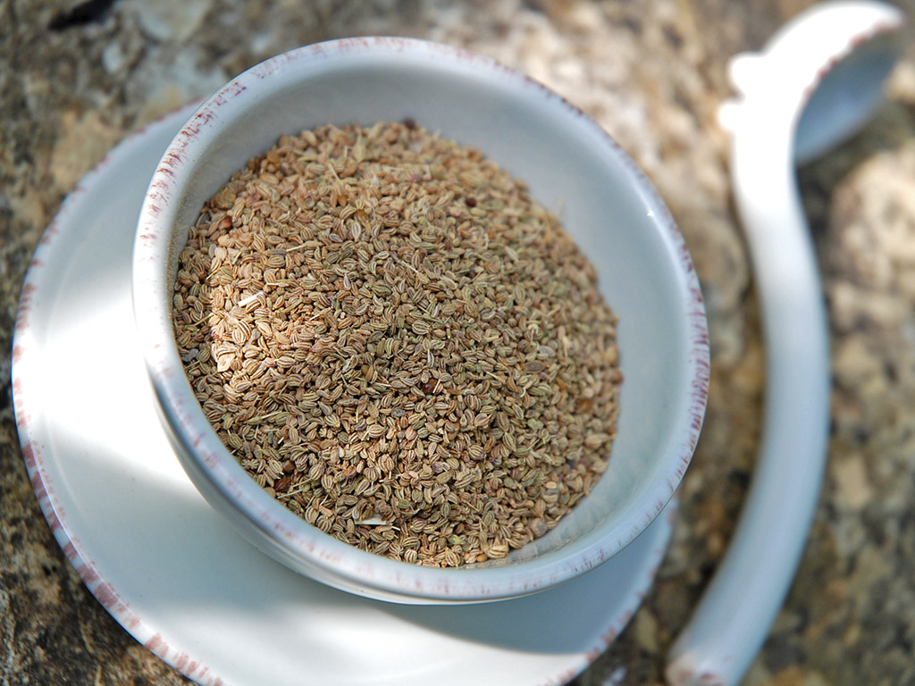 Ayurveda Lexikon: Ajwan | Ayurveda Parkschlösschen Health Blog