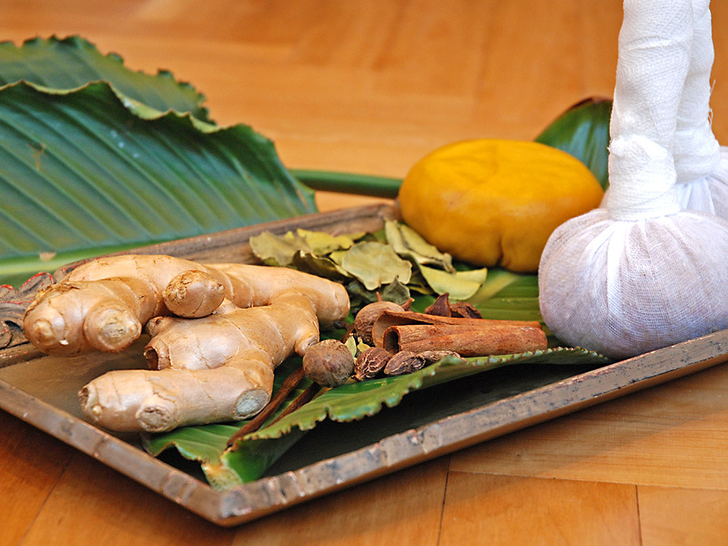 Ayurveda Detox Kur für Zuhause | Ayurveda Parkschlösschen Health Blog