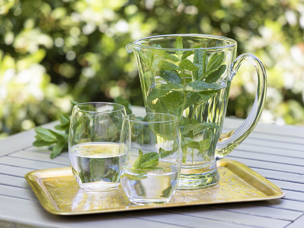 Minzwasser zur Abkühlung im Sommer | Ayurveda Parkschlösschen Health Blog
