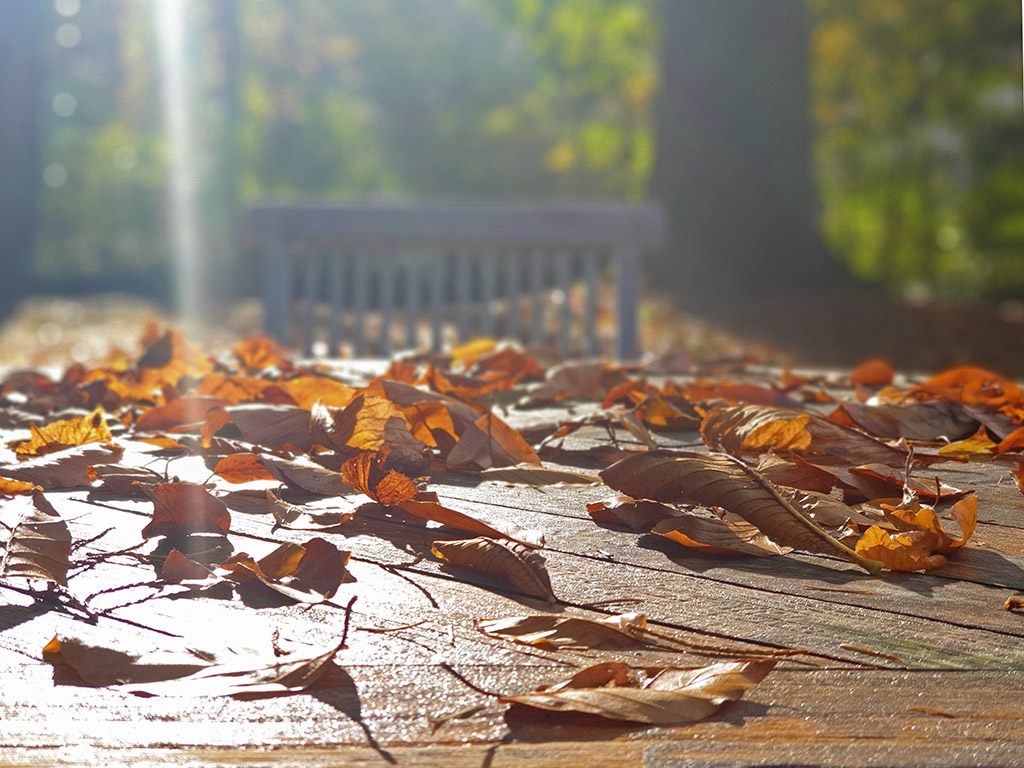 Der Herst im Ayurveda | Ayurveda Parkschlösschen Health Blog