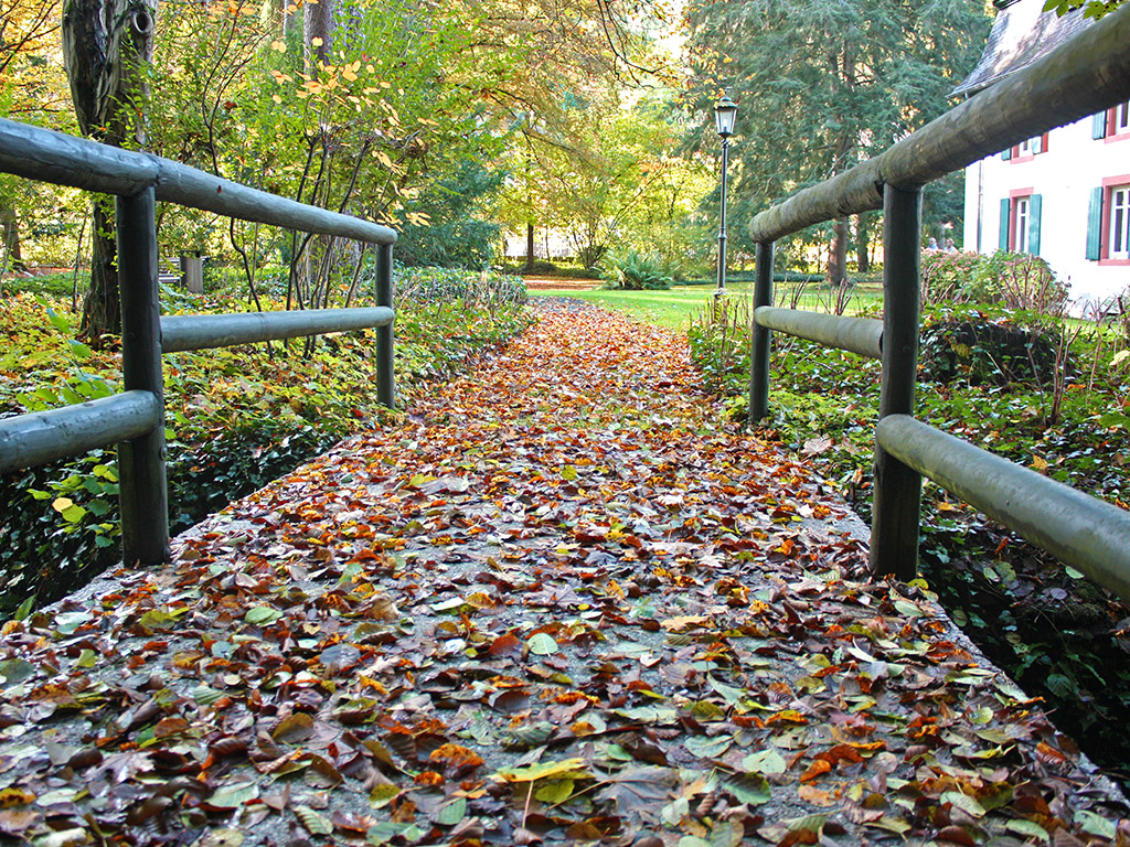 Dosha Story: Herbstspaziergang mit Vata, Pitta und Kapha | Ayurveda Parkschlösschen Health Blog