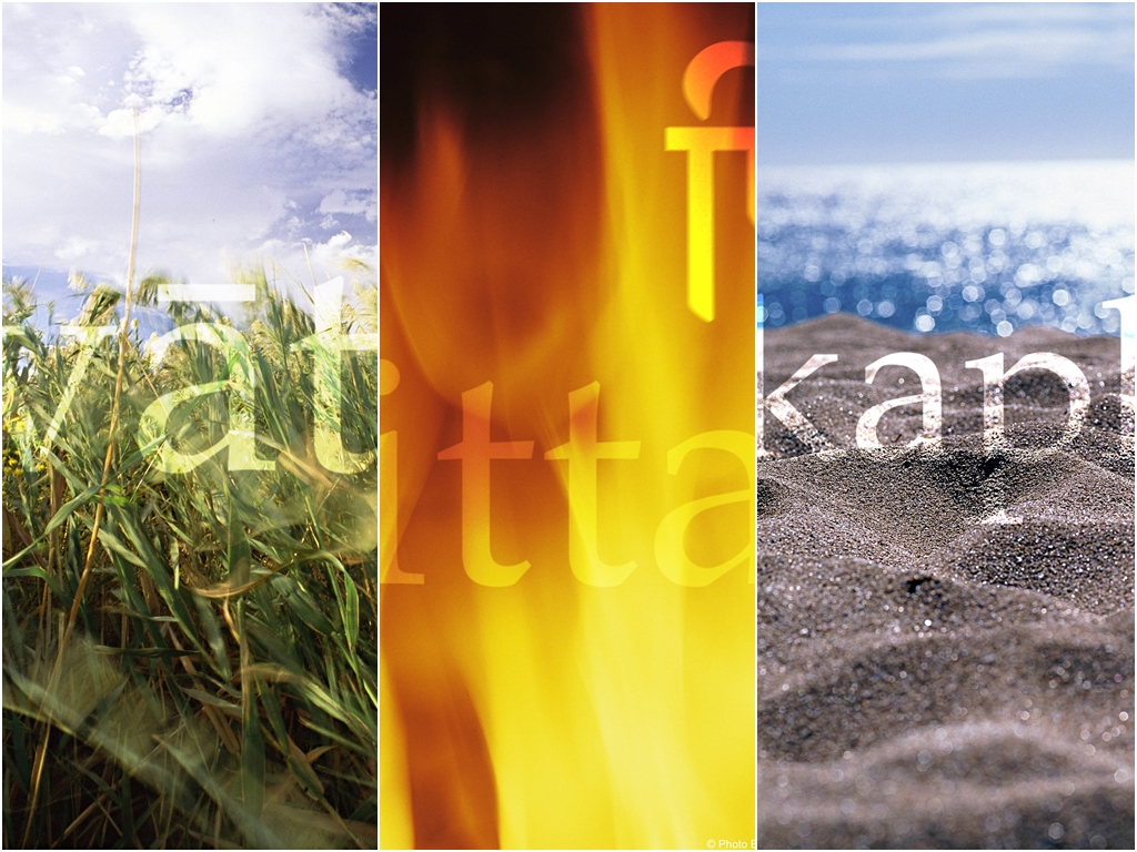 Dosha Story: Vata, Pitta und Kapha im Stress | Ayurveda Parkschlösschen Health Blog
