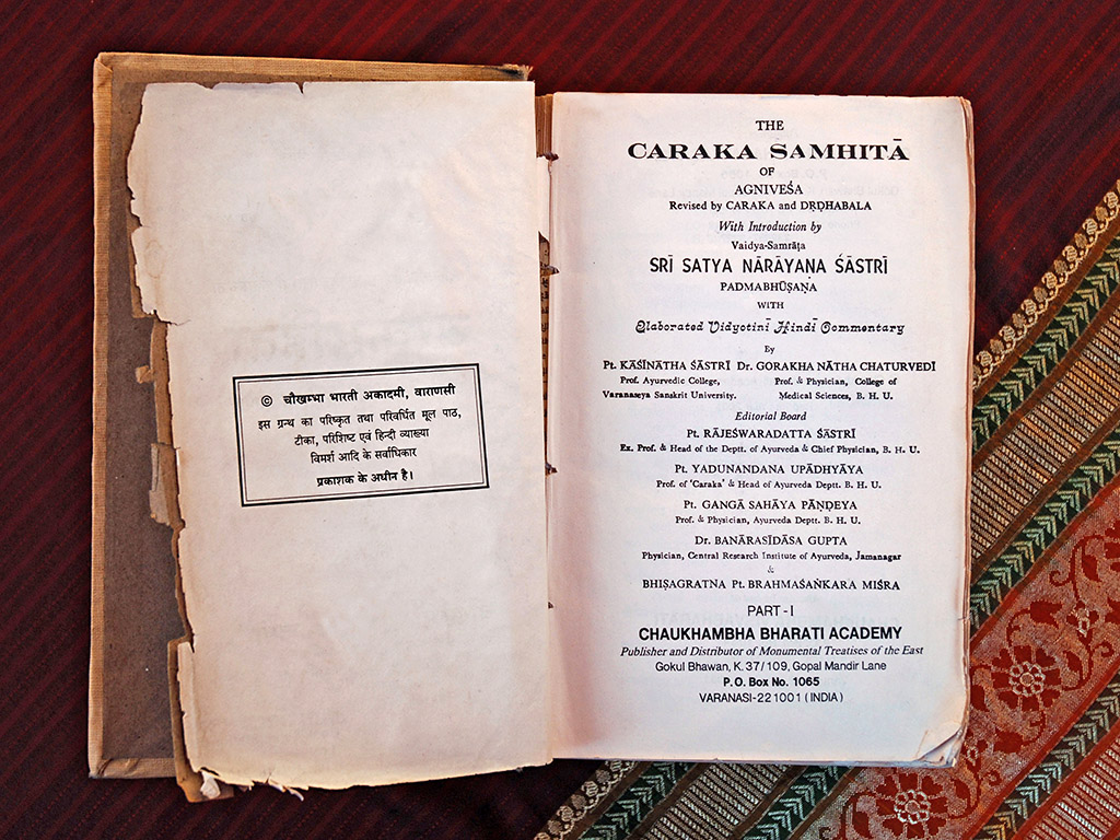 Die Charaka Samhita, die Urschriften des Ayurveda | Ayurveda Parkschlösschen Health Blog