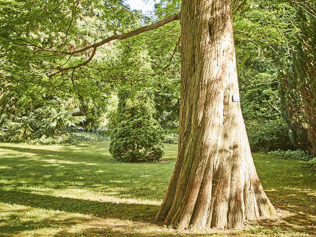Dosha Story: Vata, Pitta und Kapha auf dem Hundespielsplatz | Ayurveda Parkschlösschen Health Blog