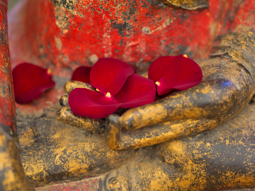 Zeit für mich selbst - Geführte Meditation mit Carina Preuß | Ayurveda Parkschlösschen Health Blog