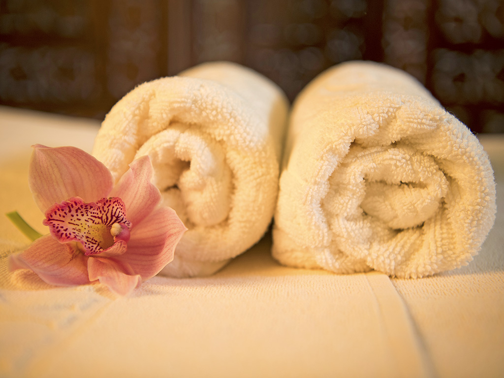 Dosha Story: Vata, Pitta und Kapha im Ayurveda Day Spa | Ayurveda Parkschlösschen Health Blog