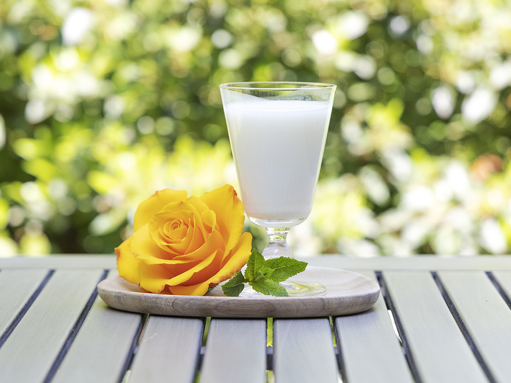 Lassi | Ayurveda Rezept | Ayurveda Parkschlösschen Health Blog