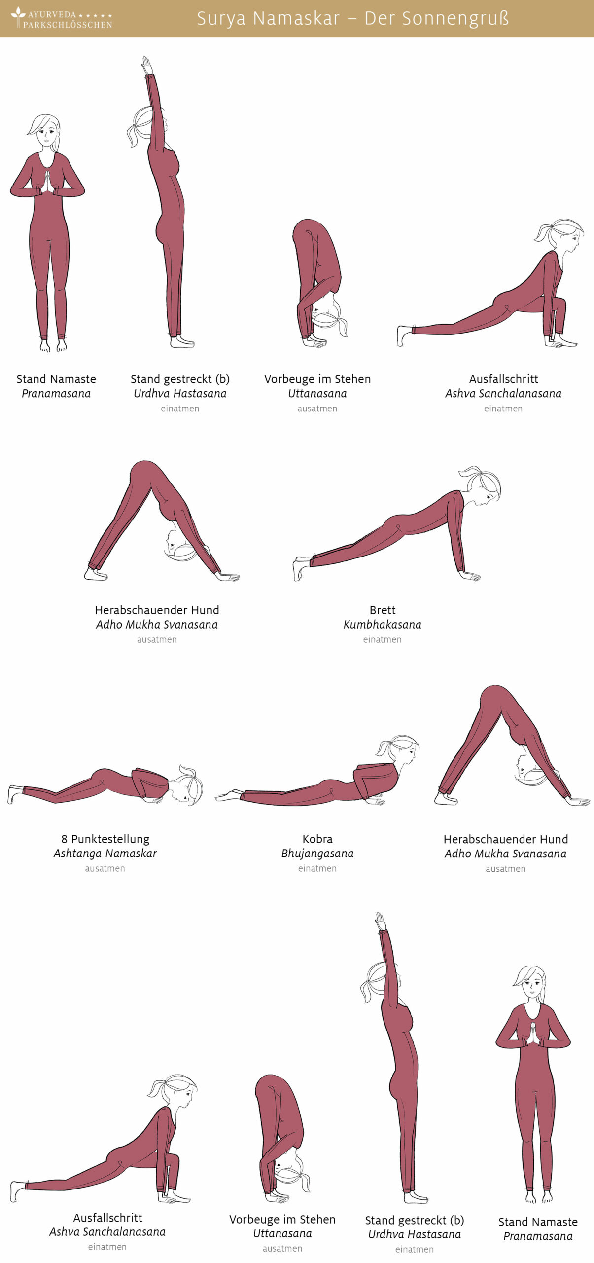 Surya Namaskar | Der Sonnengruß neu | Ayurveda Parkschlösschen Health Blog