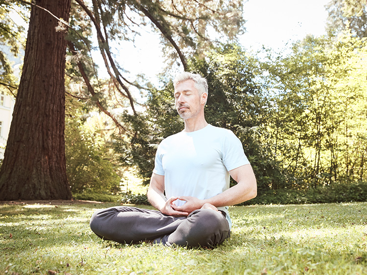 Frank Meditation Park Resilienz Retreat | Ayurveda Parkschlösschen Health Blog